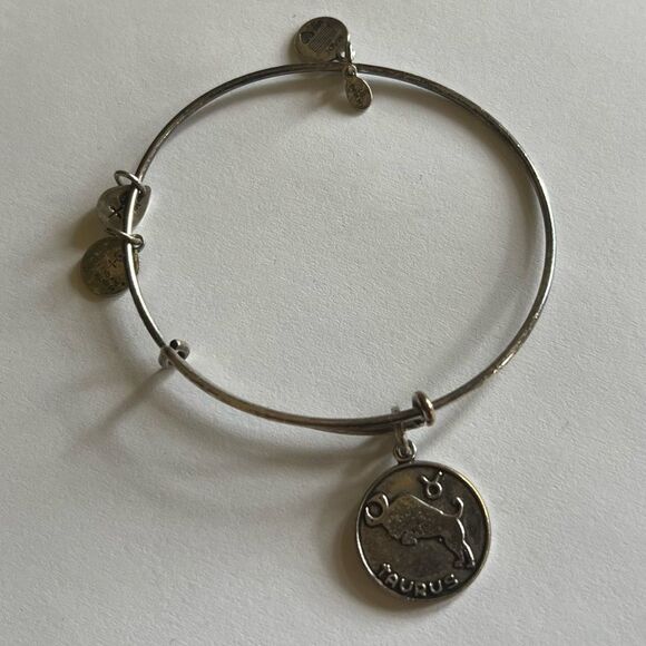 Alex and Ani Taurus Charm Rafaelian Silver Bangle Bracelet - Picture 9 of 15